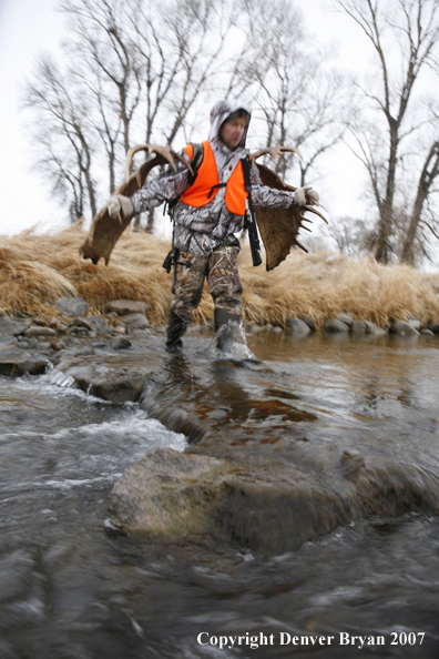 Moose hunter in field