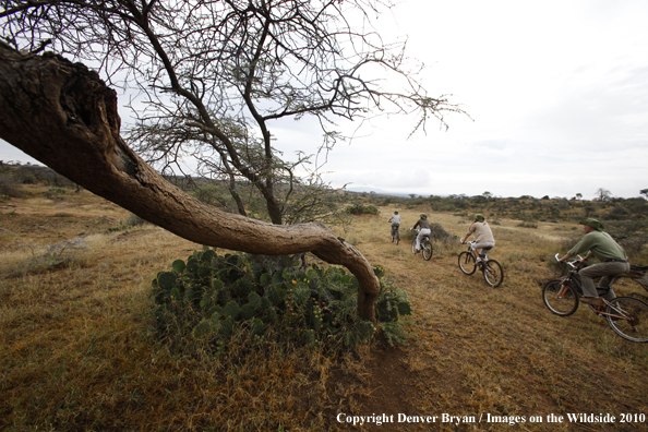 Family mountain biking on african safari