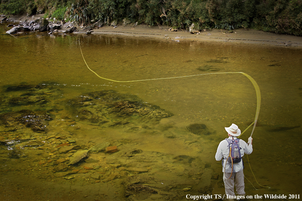 Fly fisherman casting in New Zealand. 