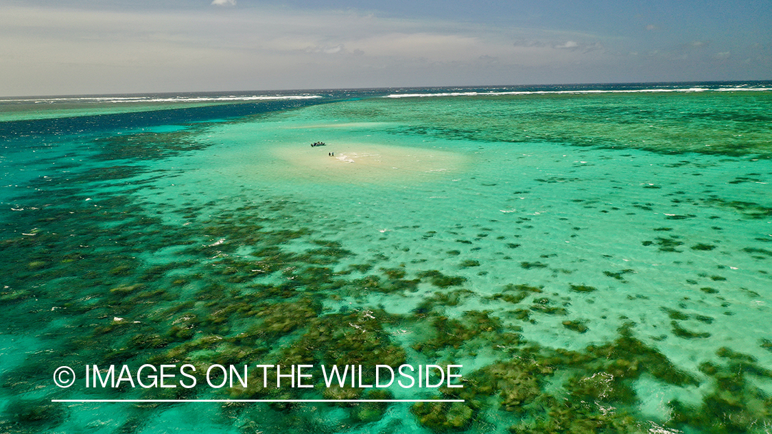 Saltwater flyfishermen fishing along Australia's Great Barrier Reef.