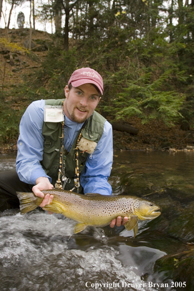 Close-up of nice brown trout.