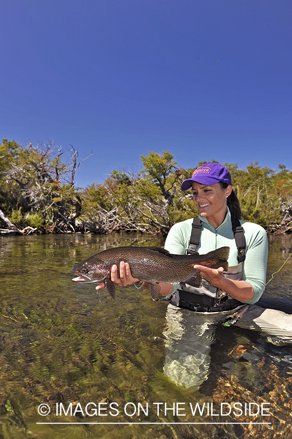 Flyfisher with rainbow trout.