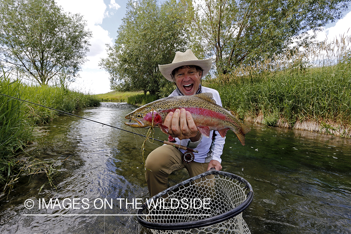 Flyfisherman releasing rainbow trout.