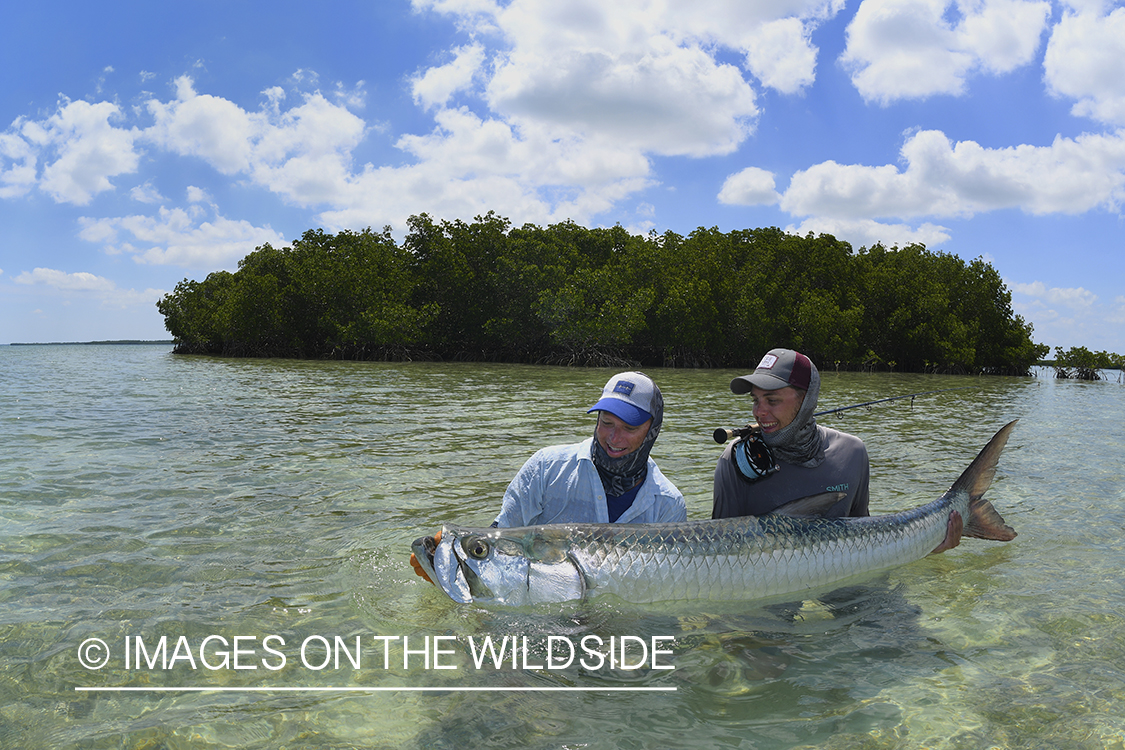 Flyfishermen with tarpon.