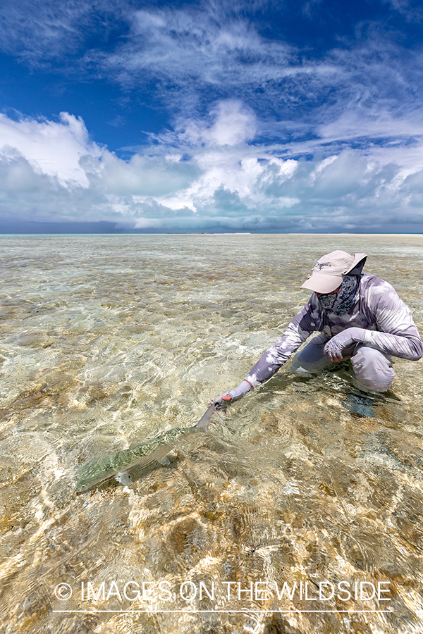 Flyfisherman and bonefish on St. Brandon's Atoll flats.