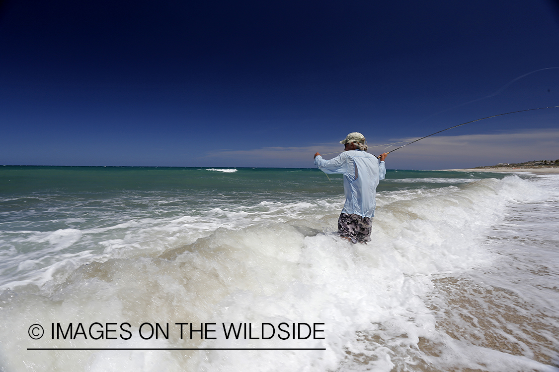 Flyfisherman fishing for roosterfish on beach.