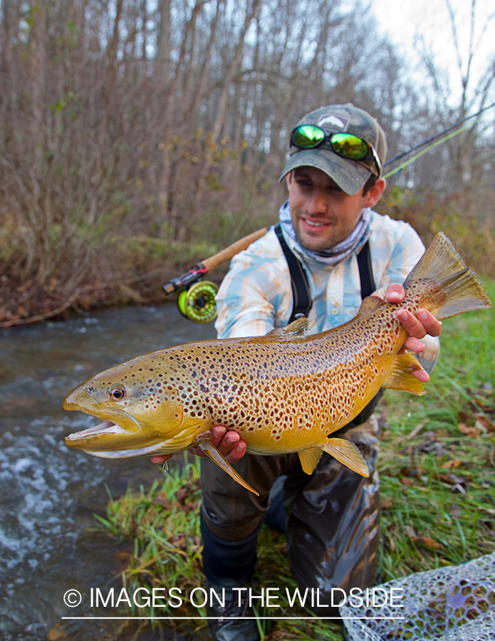 Flyfisherman with brown trout.