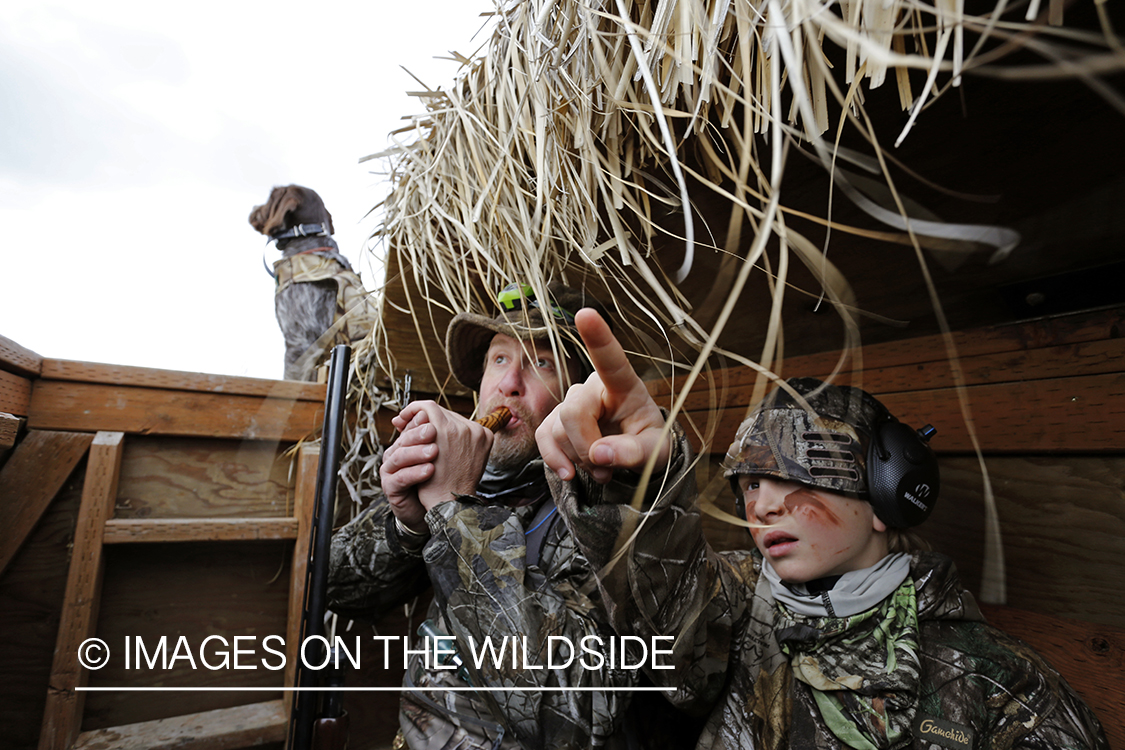 Father and son waterfowl hunters calling waterfowl.