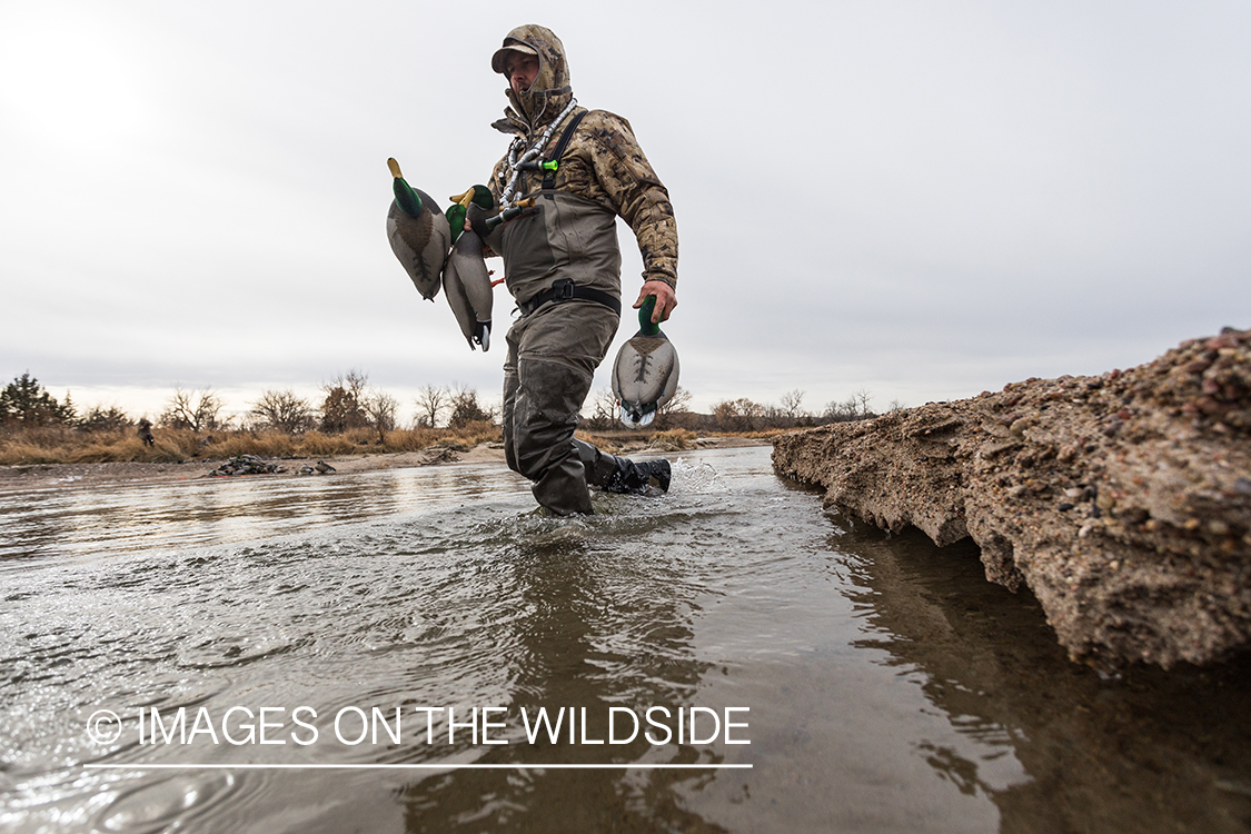 Waterfowl hunting