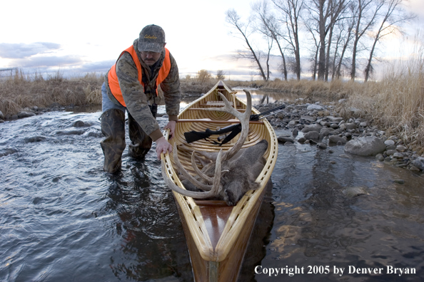 Big game hunter dragging canoe with bagged white-tail deer in bow