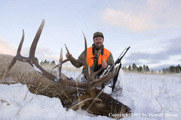 Elk hunter with downed elk.