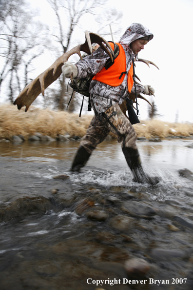 Moose hunter in field