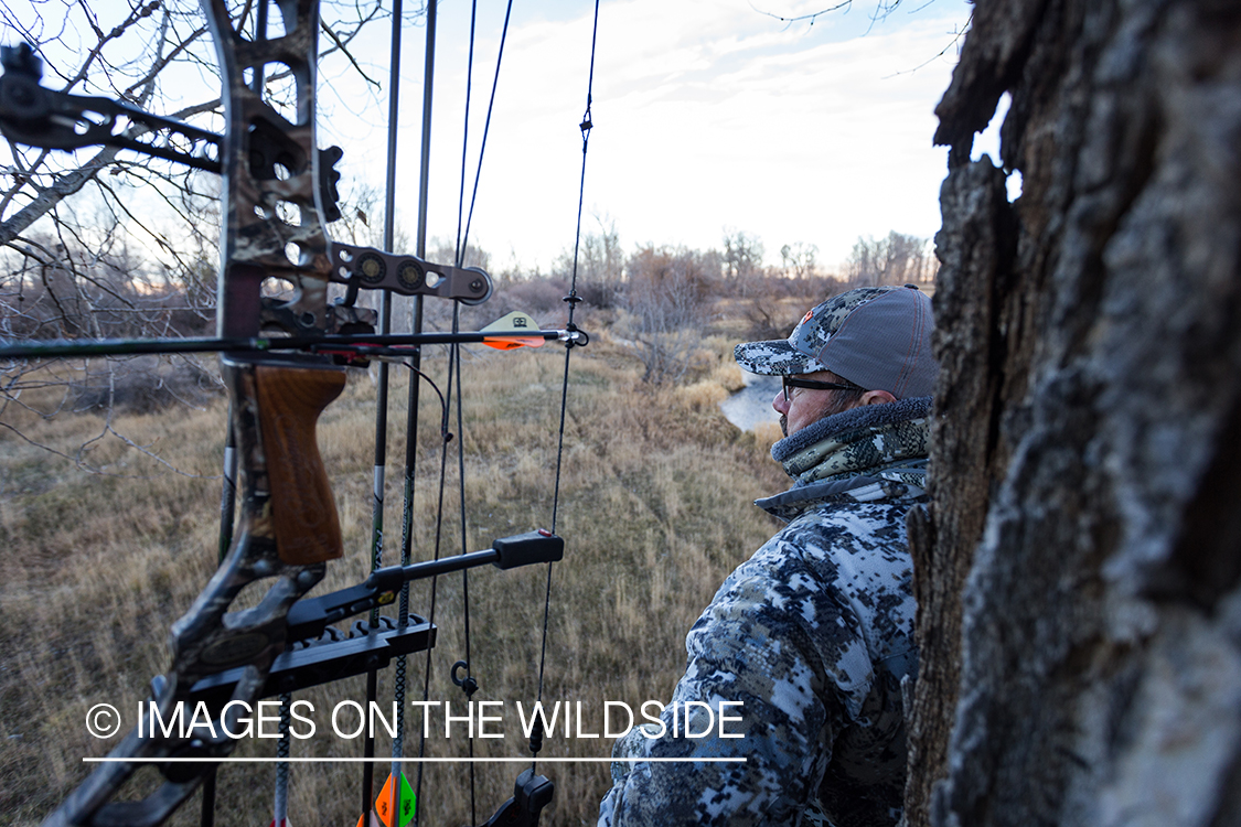 Bow hunter in tree stand looking out.