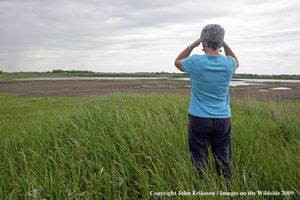 Lady viewing wetlands on National Wildlife Refuge