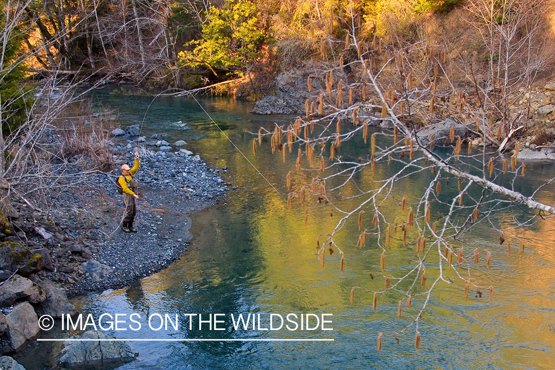 Flyfisherman casting in Alaska.