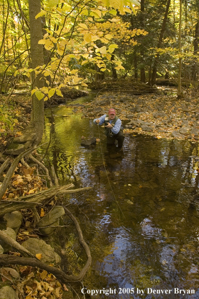 Flyfisherman on Pennsylvania spring creek.