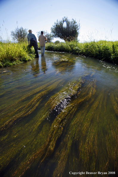 Flyfishermen fishing stream 