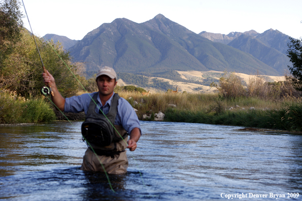 Flyfisherman casting