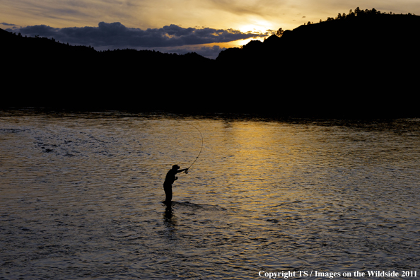 Fisherman at sunset in the Missouri River. 