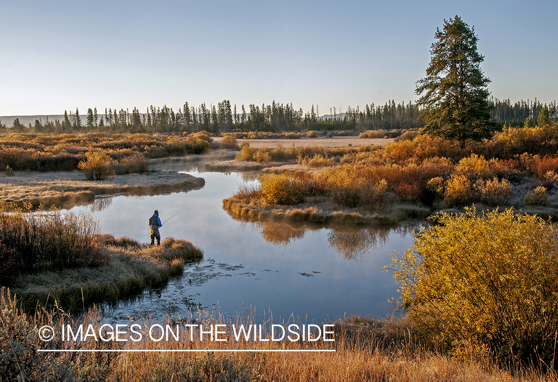 Flyfisherman on banks of Duck Creek in Montana.