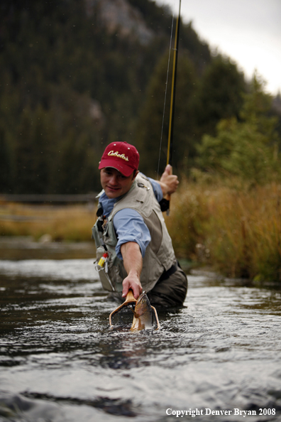 Flyfisherman Landing Cutthroat Trout