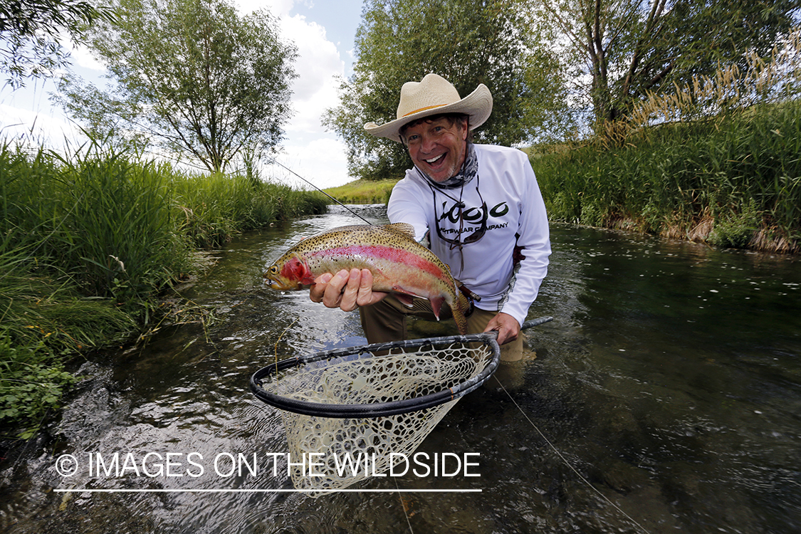 Flyfisherman releasing rainbow trout.