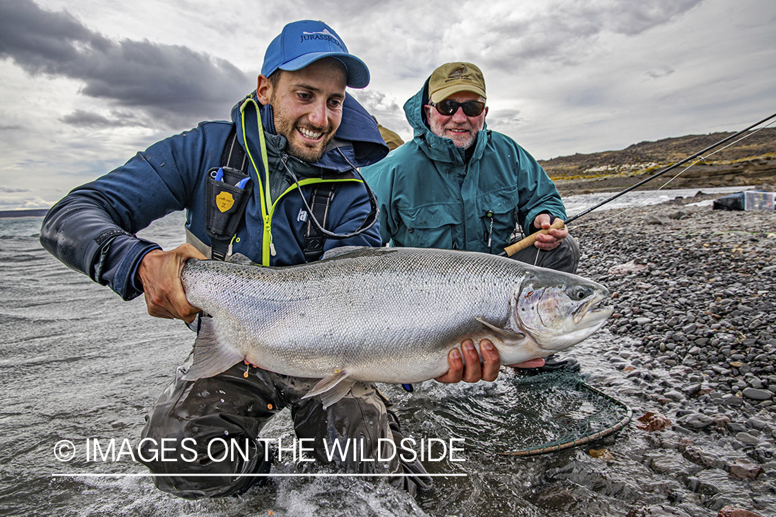 Flyfisherman with large rainbow trout at Jurassic Lake, Argentina.