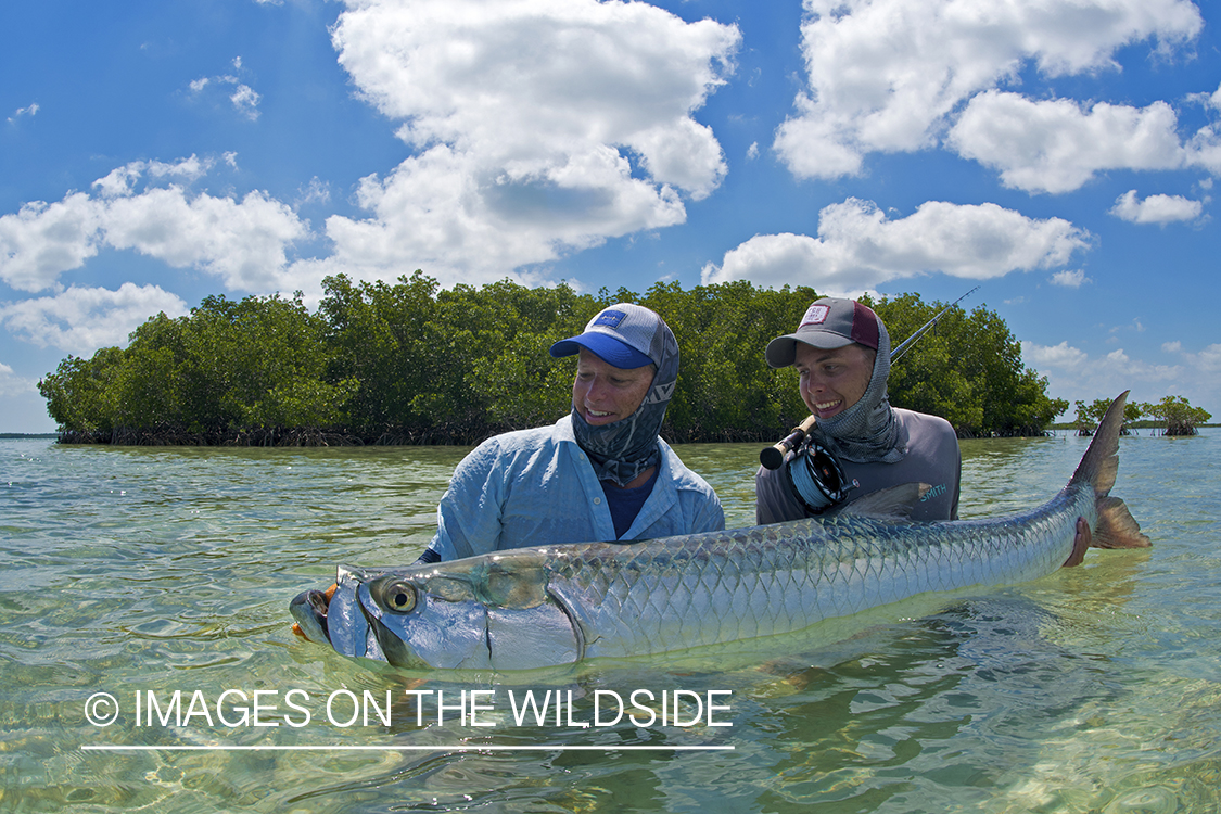 Flyfishermen with tarpon.