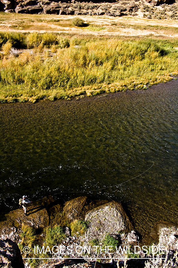 Fisherman on stream.