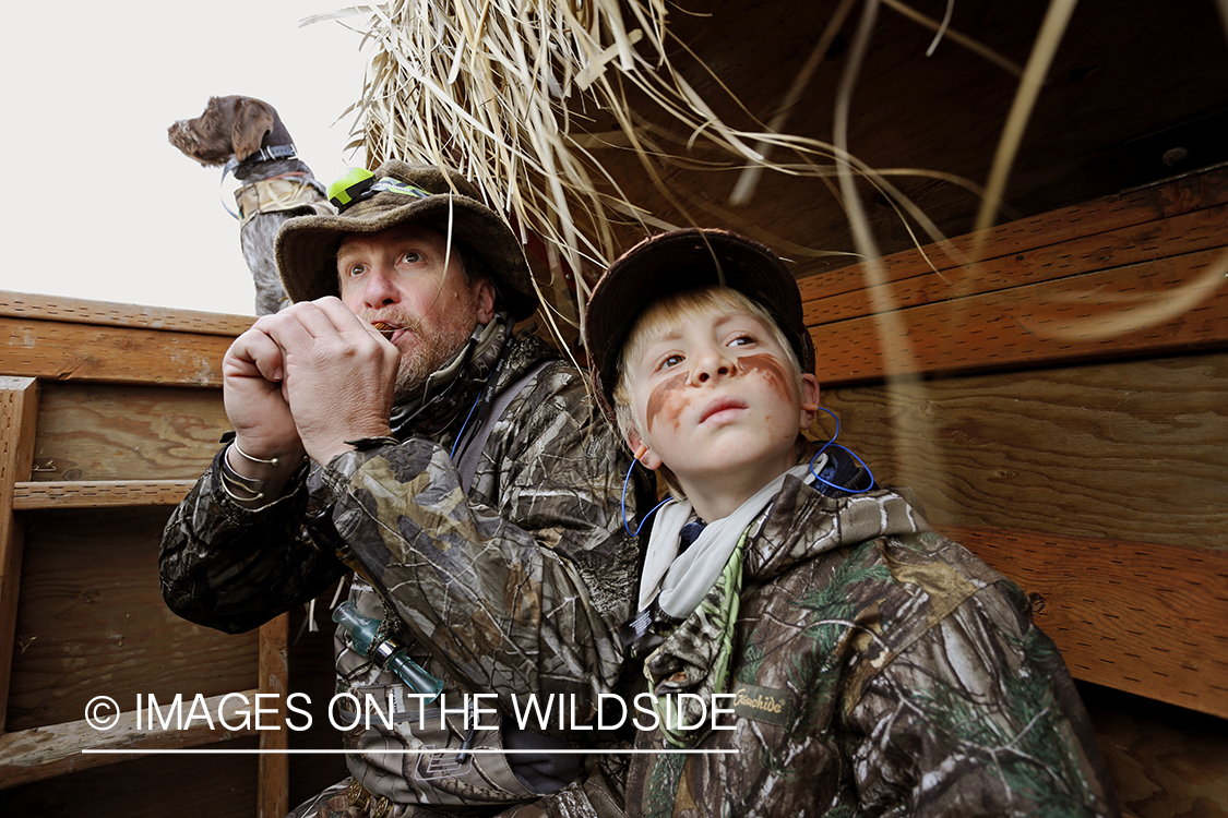 Father and son waterfowl hunters calling waterfowl.