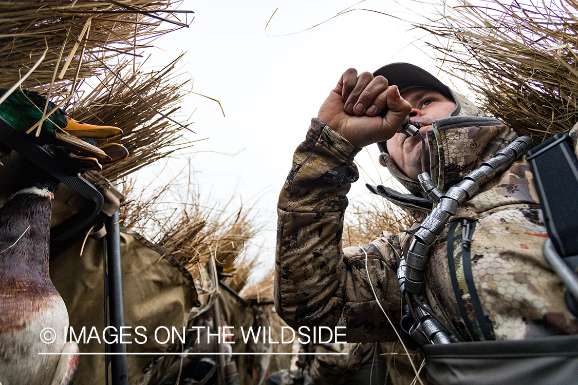 Waterfowl hunting