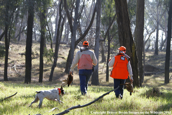 Upland game hunters with bagged pheasants. 