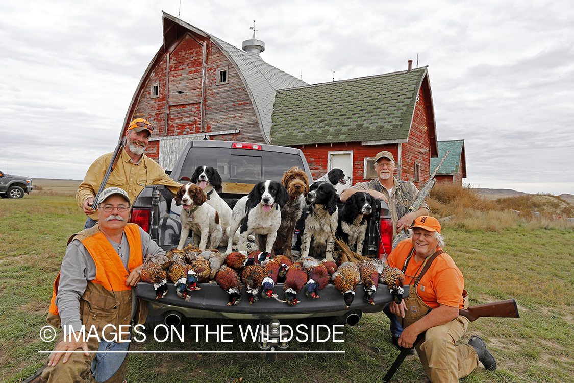 Hunters, dogs and bagged pheasants.