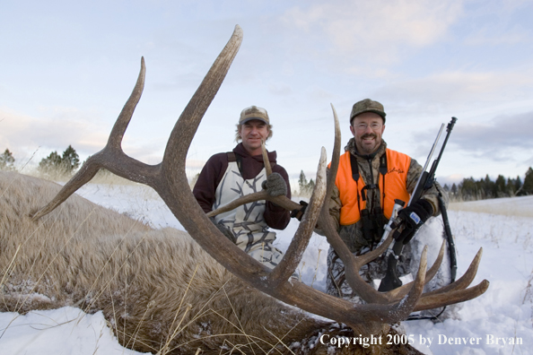 Elk hunter and guide with downed elk.