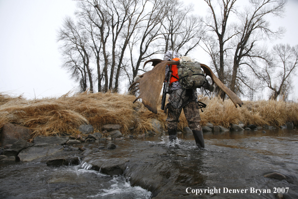 Moose hunter in field