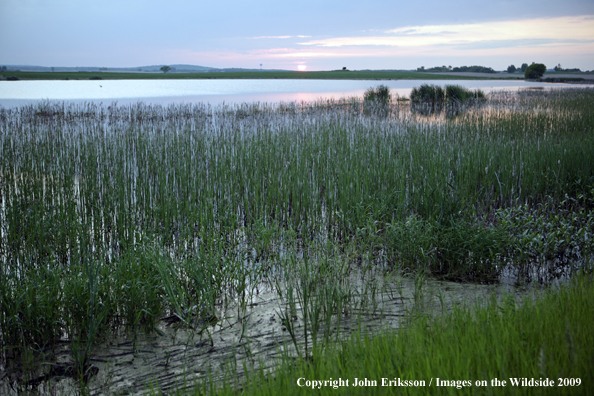 Wetlands on National Wildlife Refuge