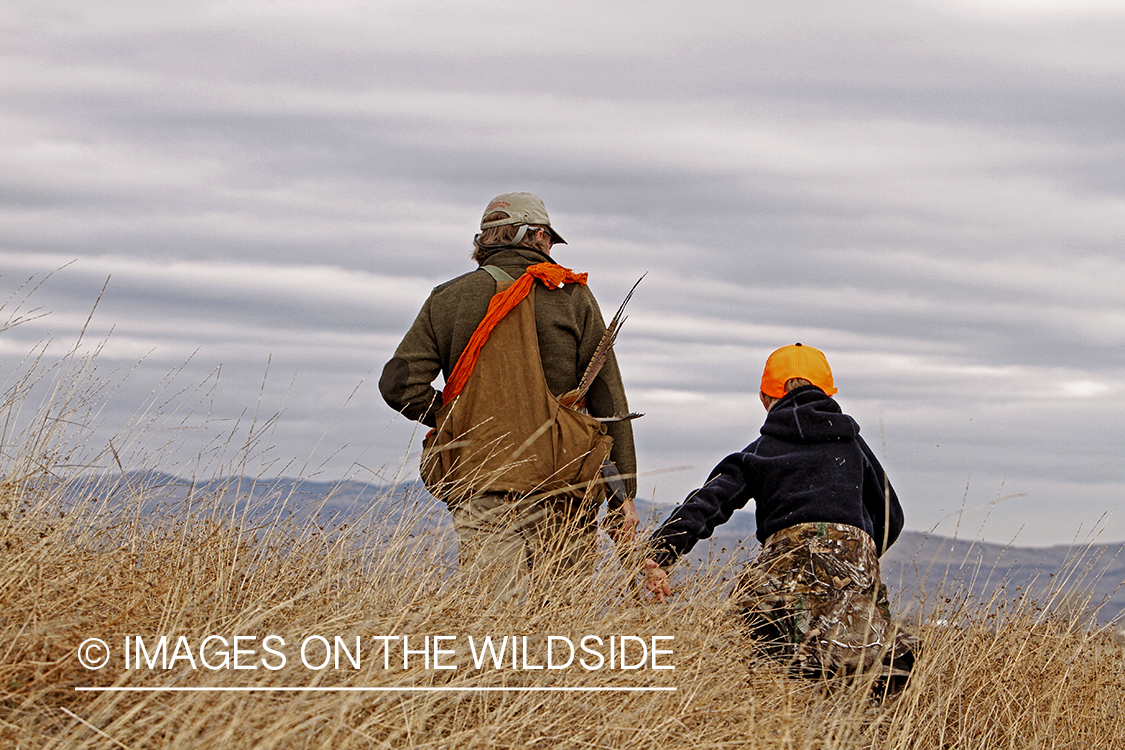 Father and son pheasant hunting. 