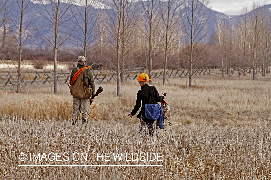 Father and son pheasant hunting. 