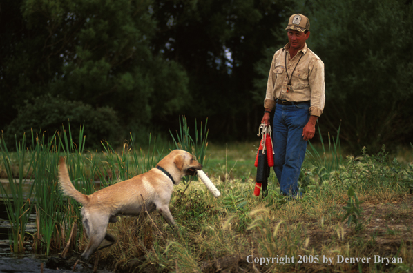 Trainer with yellow Labrador Retriever.