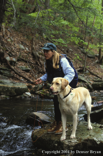 Woman flyfisher with yellow Lab.