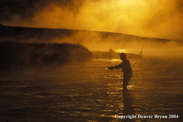 Freshwater Flyfisherman in river fishing.