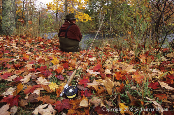 Flyfisherman on autumn colored stream.