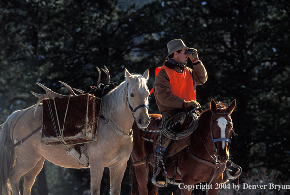 Big game hunter glassing from horseback.