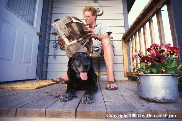 Black Labrador Retriever with owner