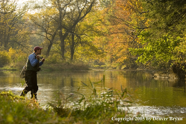 Flyfisherman on Pennsylvania spring creek.