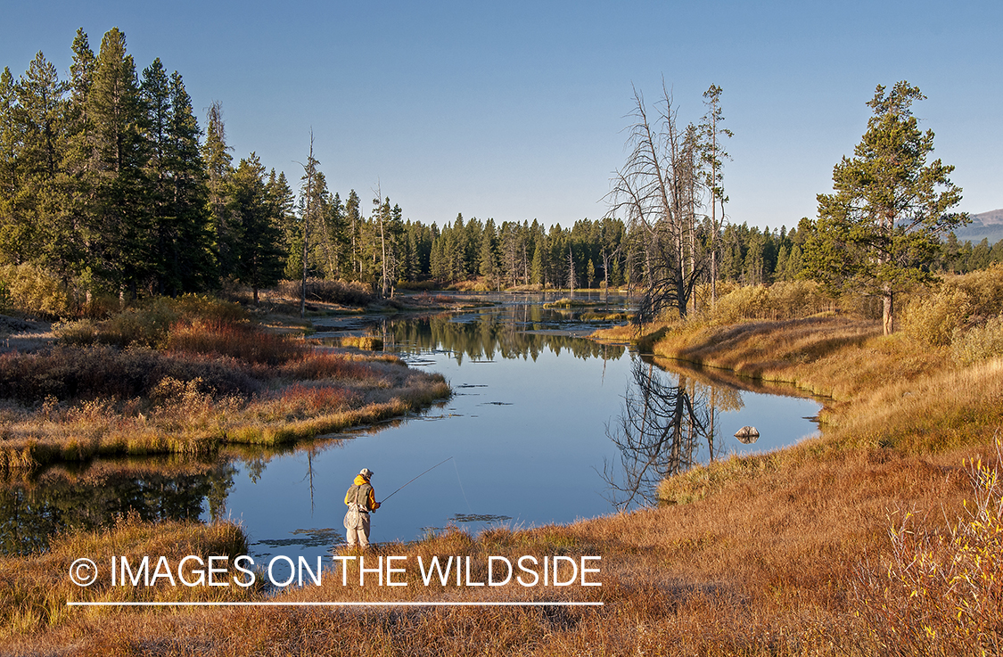 Flyfisherman on banks of Duck Creek in Montana.