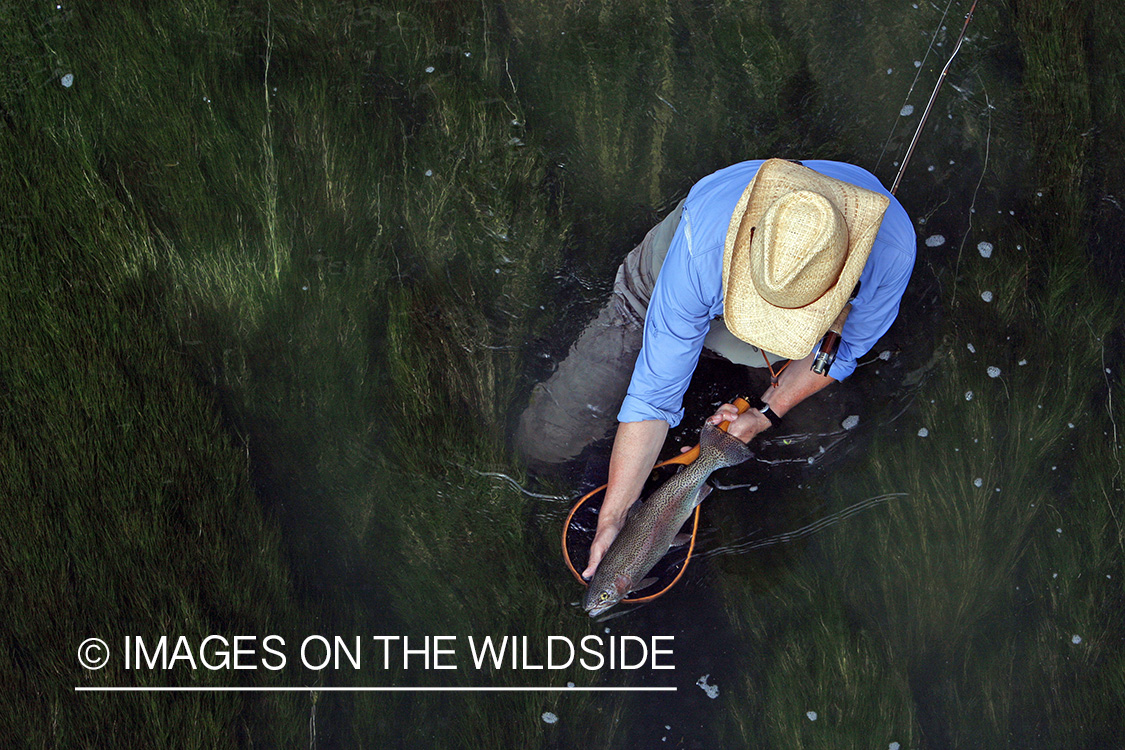 Flyfisherman fishing warm springs