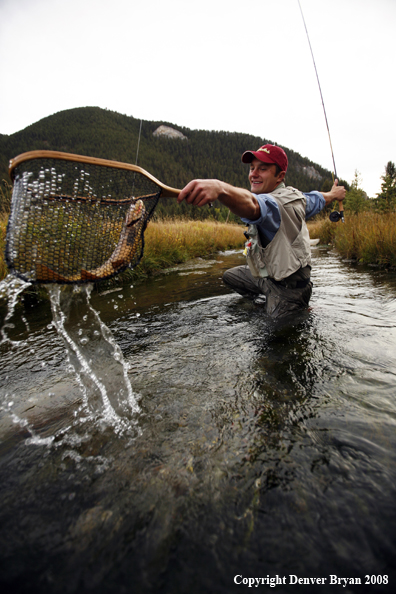 Flyfisherman Landing Cutthroat Trout