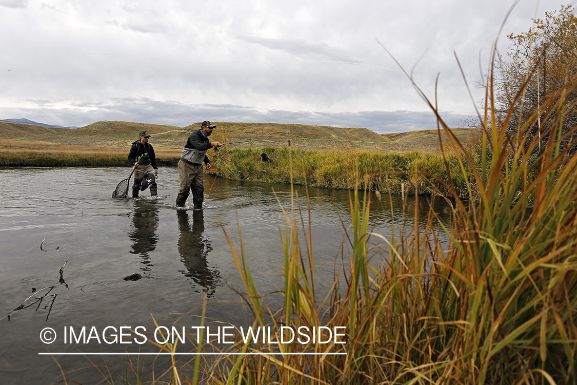 Flyfishermen casting on river. 