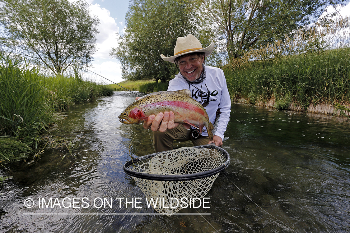 Flyfisherman releasing rainbow trout.